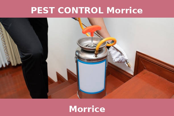 PEST CONTROL Morrice
